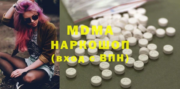 хмурый Аркадак