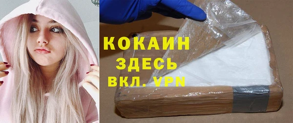 хмурый Аркадак