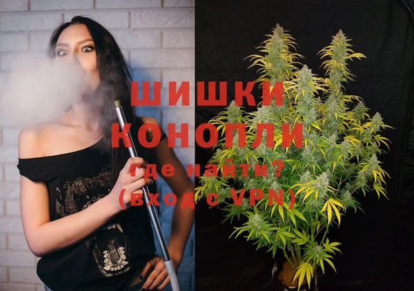 хмурый Аркадак