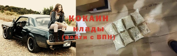 хмурый Аркадак