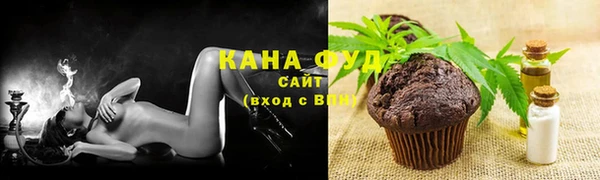 хмурый Аркадак