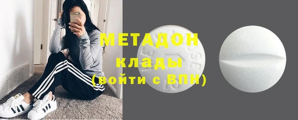хмурый Аркадак