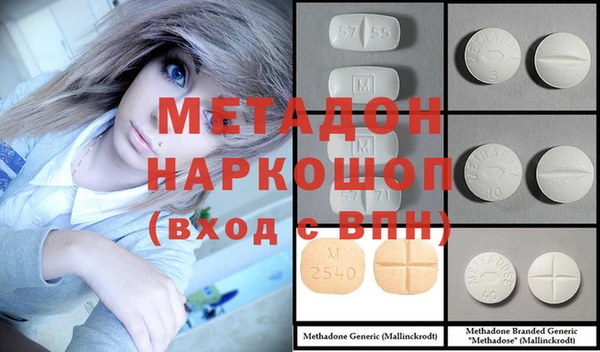 хмурый Аркадак