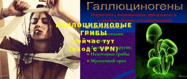 стафф Балахна