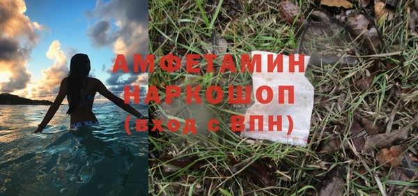 хмурый Аркадак