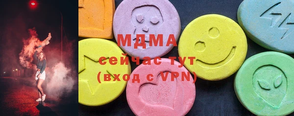 хмурый Аркадак
